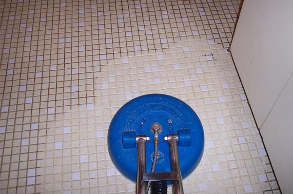 Remove Pet Pee From Your Tile And Grout