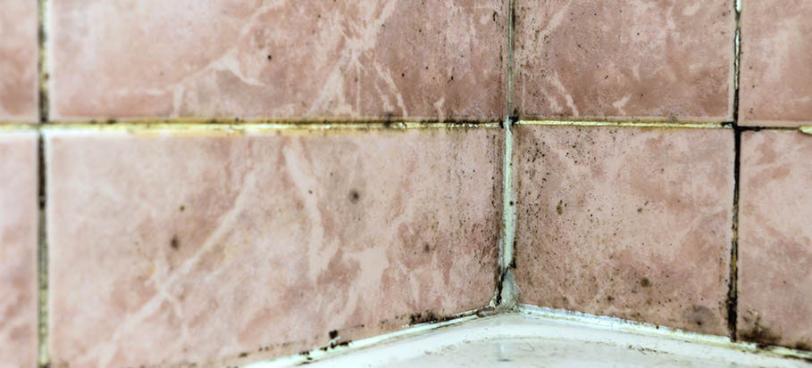 Remove Black Mould from Bathroom Grout
